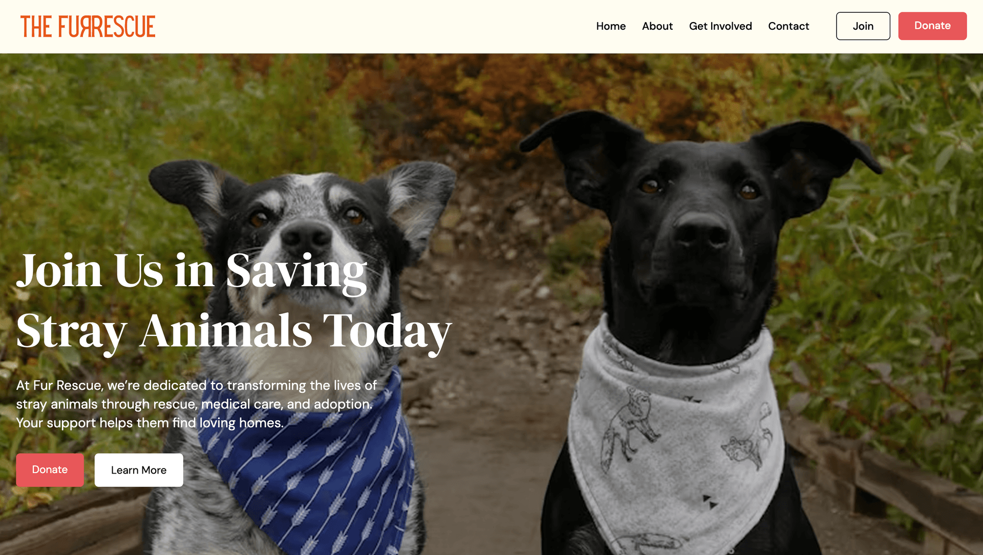 FurRescue